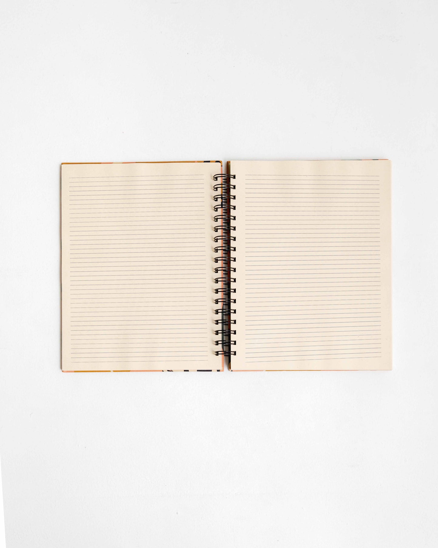 Studio Notebook Amazona