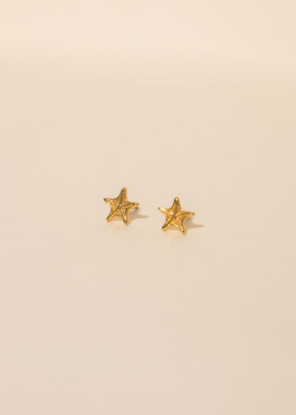 Aros Estrella de mar