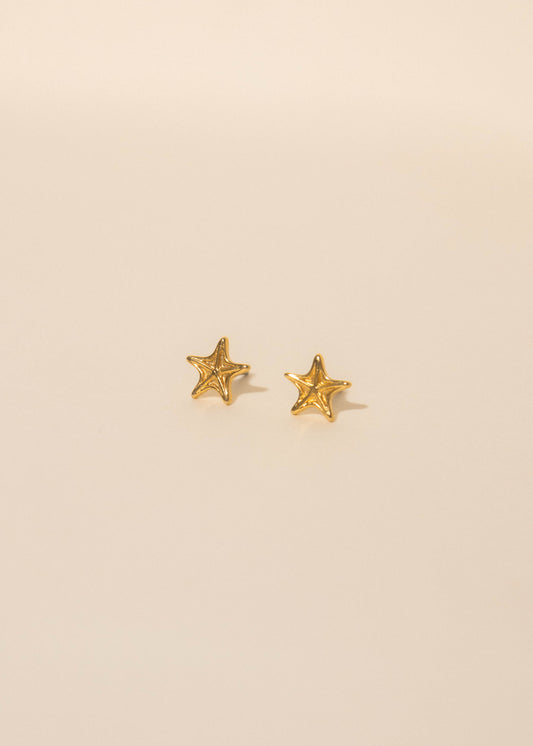 Aros Estrella de mar